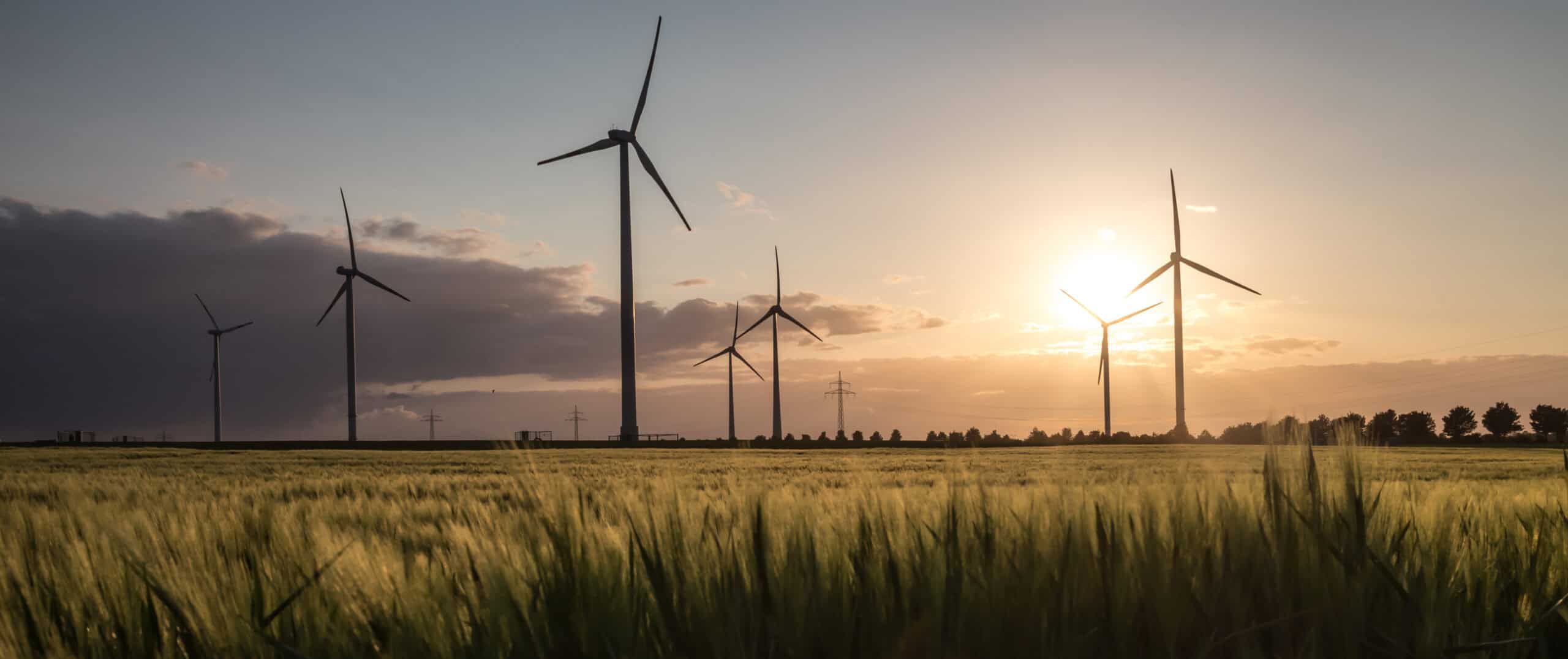 Windräder über Getreidefeld bei Sonnenuntergang